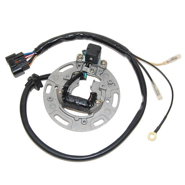 ESC1366 Stator KX85/100 (01-05)