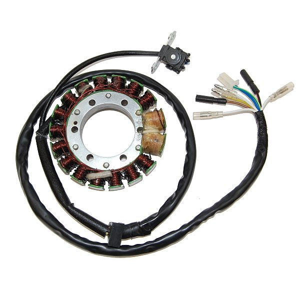 ESG443 Stator Honda XR650R/400R - High Power (2x100W)