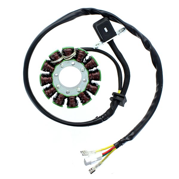 ESG169 Stator KTM 250 350 ECT