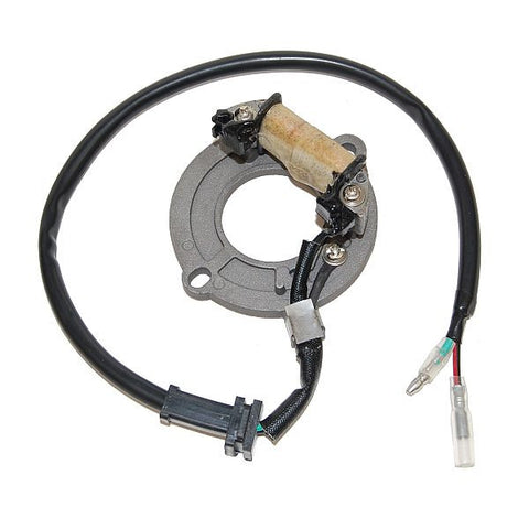 ESC1631 Stator Honda CR80 by Electrosport – ElectroSport