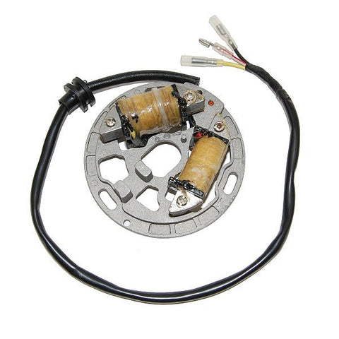 ESL225 Lighting Stator Kawasaki KDX200 by Electrosport – ElectroSport